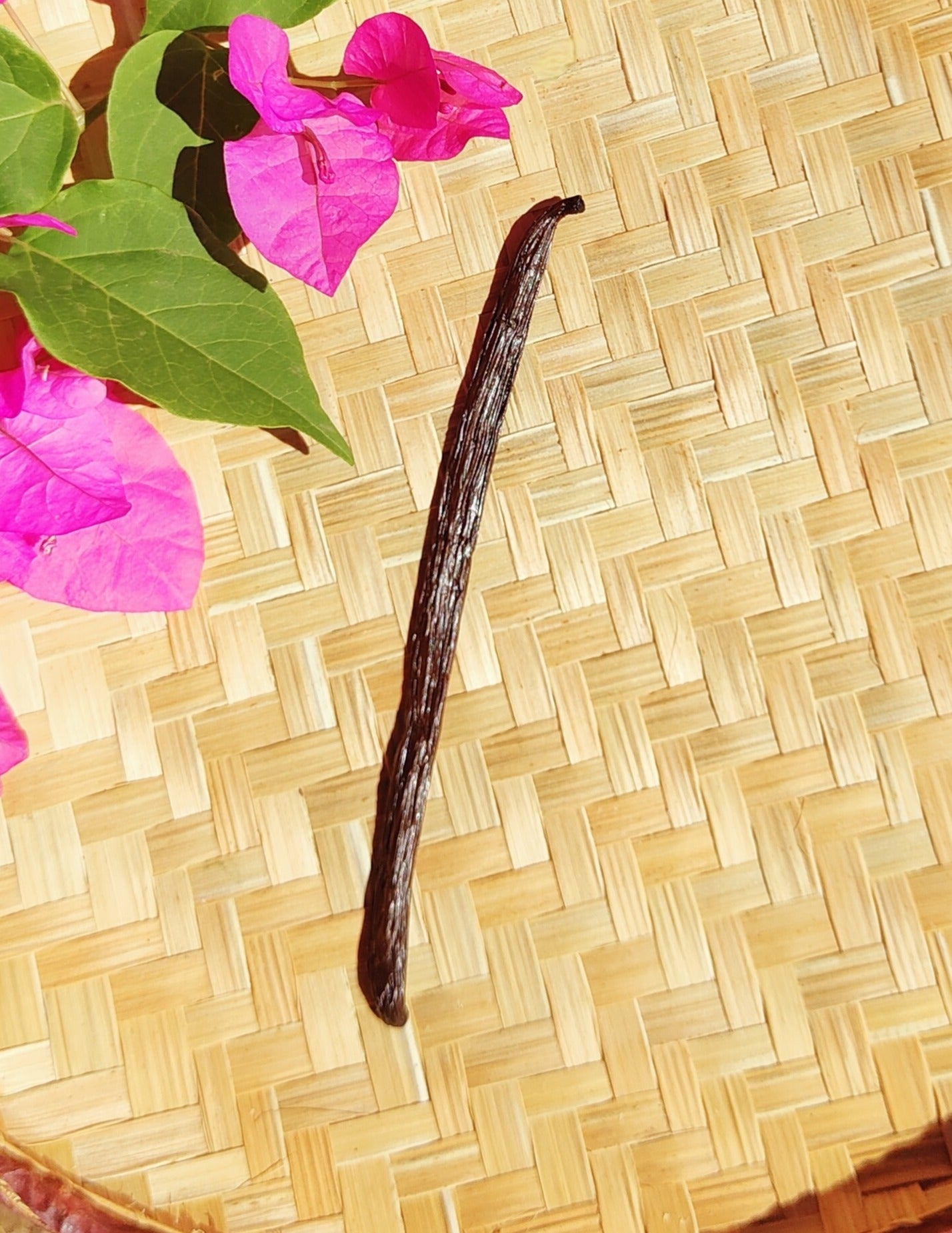 Gousses de Vanille de Madagascar – 13 à 18 cm à partir de 1€