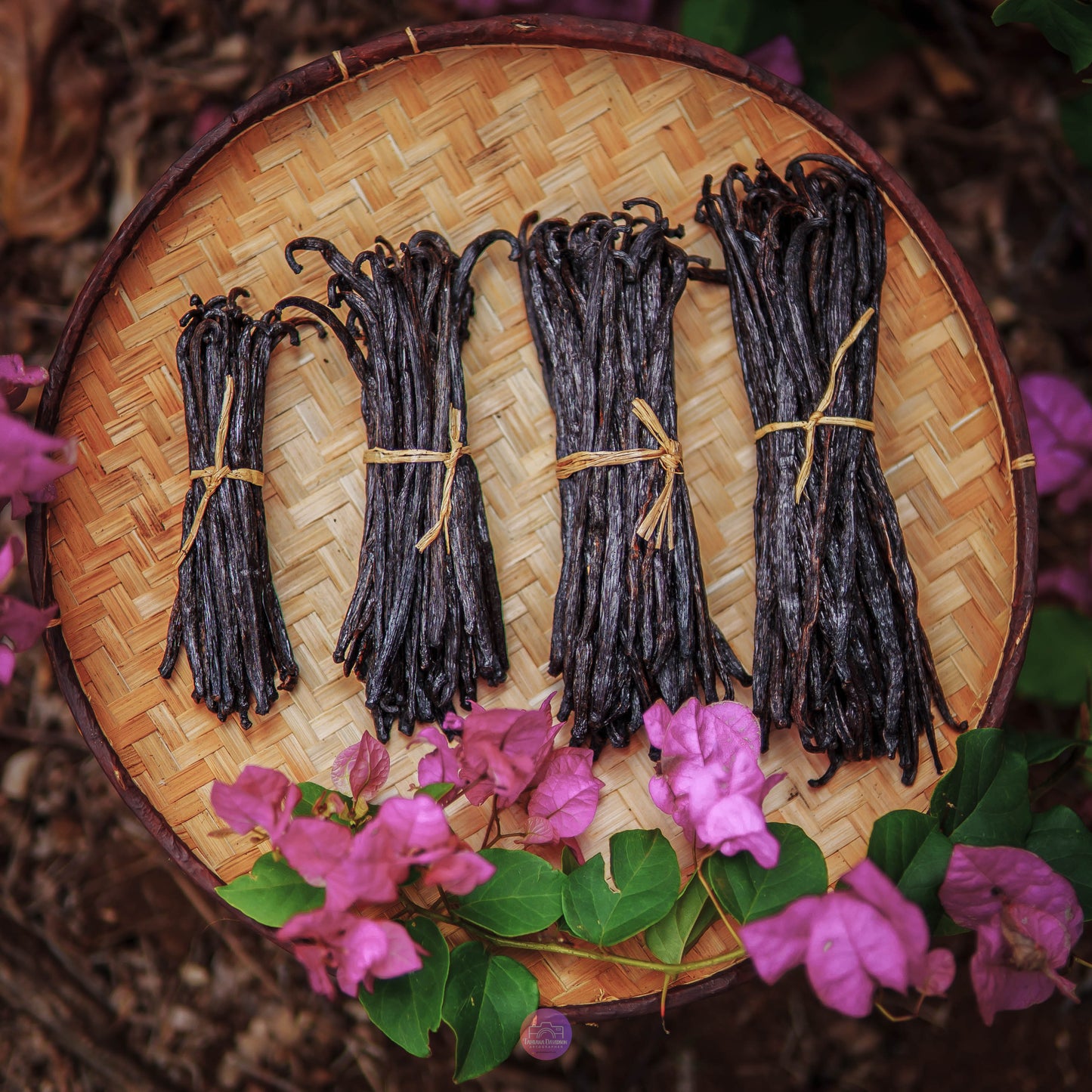 10 Gousses de Vanille Gourmet de Madagascar - 17 à 18 cm + 5 g de poudre de vanille offert