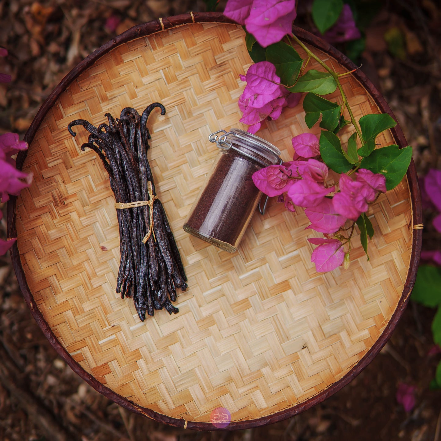 10 Gousses de Vanille Gourmet (17-18cm) + 30G de Poudre de Vanille