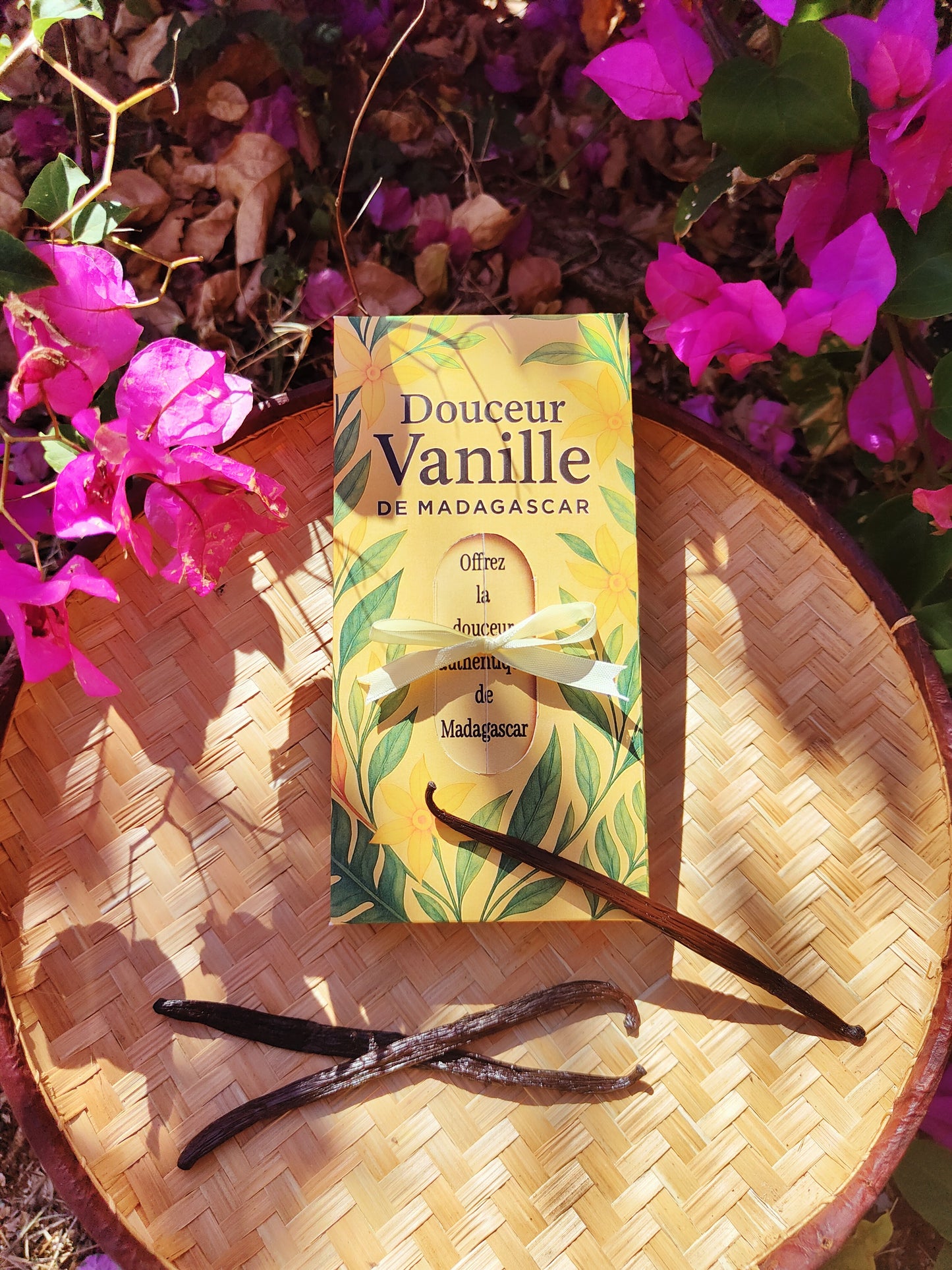 10 Gousses de Vanille Gourmet de Madagascar - 17 à 18 cm + 5 g de poudre de vanille offert