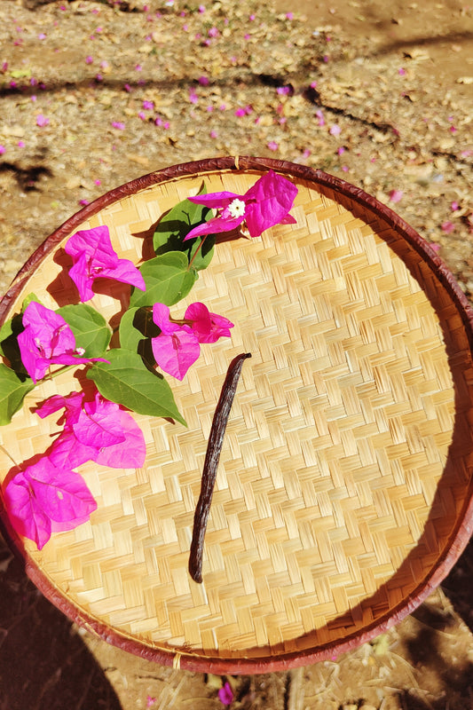 Gousses de Vanille de Madagascar – 13 à 18 cm à partir de 1€