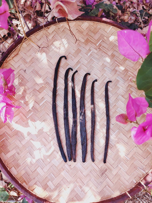 Vanille Authentique TK – 20 gousses de vanille de Madagascar