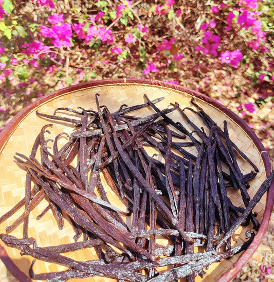 Gousses de Vanille de Madagascar – 13 à 18 cm à partir de 1€